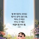 이모네밥상 Daum카페