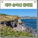송악산 부남코지 화장실 | 제주 가을 가볼만한곳 송악산 둘레길 소요시간 주차 핵심정리