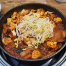 조가네갑오징어 이미지