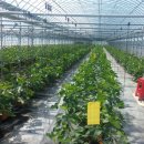 제창농장 이미지