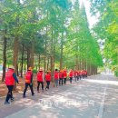 목보건지소 이미지