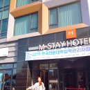제주 엠스테이 호텔 서귀포 숙소 정보 내돈내산