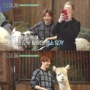 안녕,댕댕아 이미지