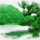 귀생(貴生)과 섭생(攝生) 이미지