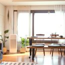 플랜테리어 이미지