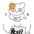 전북은행 대학생 서포터즈 4기, 전대즈 합격 후기 및 발대식 후기