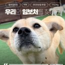 우리/여아/2020년생 이미지