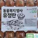 미래팜스 이미지