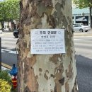 2025년 6월 13일 신문을 통해 알게 된 것들 이미지