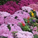 고요산책 이미지