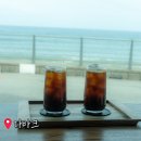 황금공원 | 속초 양양 오션뷰 바다뷰 베이커리 카페 추천 다바크 물치해변 황금연어공원