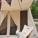 가야종합동물병원 이미지