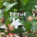 남도수목관리
