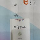 토담플라워