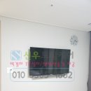 순천-11호 이미지