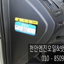 현주 썬팅 이미지