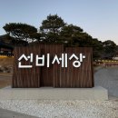 영주볏짚 | 영주 아이랑 '선비세상' 윈터페스티벌 설레임놀이터, 한글촌(한글놀이터) 방문후기