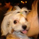 우리단비랑 이미지