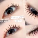 다인뷰티 이미지