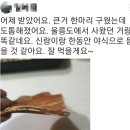 청정산오징어회