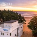 쉘비치 | 태안해루질펜션 쉘비치펜션 태안갯벌체험펜션 물때 맞춰 맛조개 잡고 숙소까지!