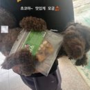 거북이 차과자 이미지