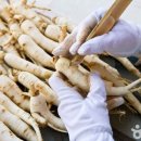 (주)금산현대서비스 이미지