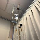 엔씨피희망약국 | [40대 신혼부부 난임일기]시험관 신선1차/난자채취 모태안여성병원 후기
