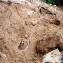 용사1구 이미지