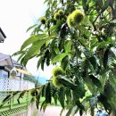 해나키즈풀빌라2 이미지