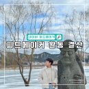 네이버 피드메이커 1기 여행 분야 4개월 활동 결산, 꿀팁, 후기