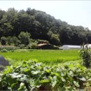 적상면010 이미지