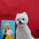 개린이미용실 이미지