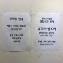 앨리스702 이미지