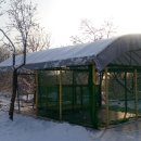 일월관광농원캠핑 이미지