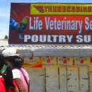 풍기동물병원 이미지