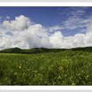 언덕위의 집 이미지