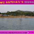 진촌해수욕장 이미지