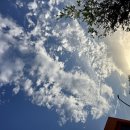 당시 국민의 참정권 65%를 몰수하려 했던 그를 어찌 용서하란..글쿠..여론조사 기관이 다 영남..따라서 두 번째 망할 준비 중... 이미지