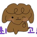 춘천우리한의원 이미지