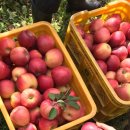 반야농장 이미지