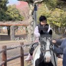 렛츠런파크 제주 | 렛츠런파크 제주 아이랑 주말 나들이 승마 체험 자전거 놀이터까지