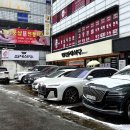 돼지가 미소지을때 이미지