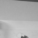 2024 전주세계소리축제 이미지