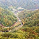 삼성궁주차장 이미지