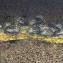 가평곤충농장 이미지