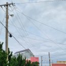 신창환승정류장 이미지