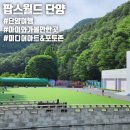 월드미디어 | 단양 여행 | 아이와 함께 이색체험장소 "팝스월드" 후기(미디어아트/포토존/할인방법)