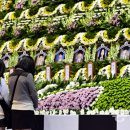 올림픽 기념관 이미지