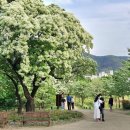 신나는머리나라 이미지